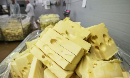 Сыр, сыроделие, производство сыра