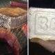 В петербургском порту нашли "рыбные консервы" с кокаином на 4,5 миллиарда