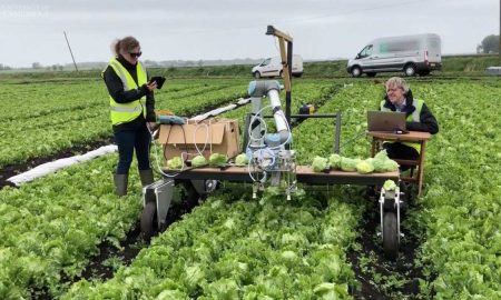 В США робота научили собирать нежный салат