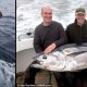 Ирландский рыбак поймал редчайшего тунца весом 272 кг