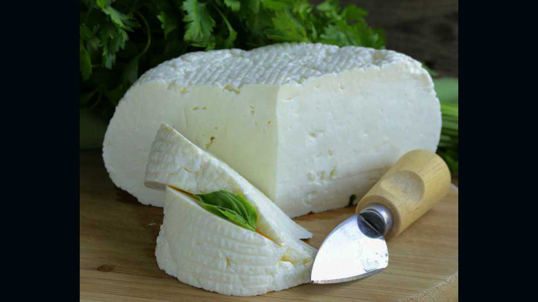 сыр марки «Гуцульська овеча бриндзя»
