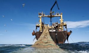 ВФДП: Балтийское море не может восстановиться из-за донного траления