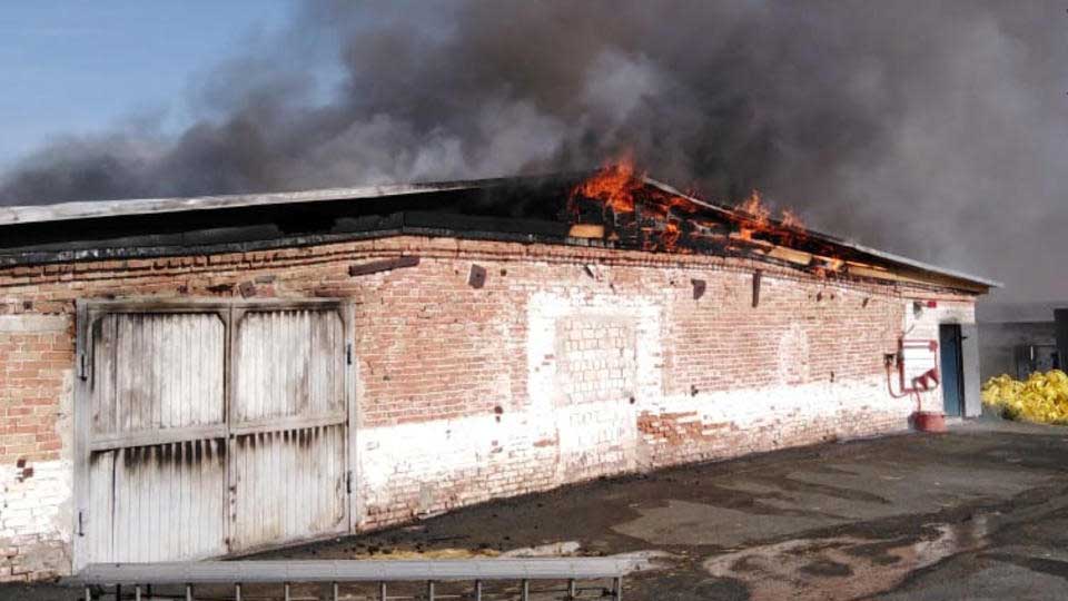 Крупный пожар охватил цех птицефабрики под Оренбургом