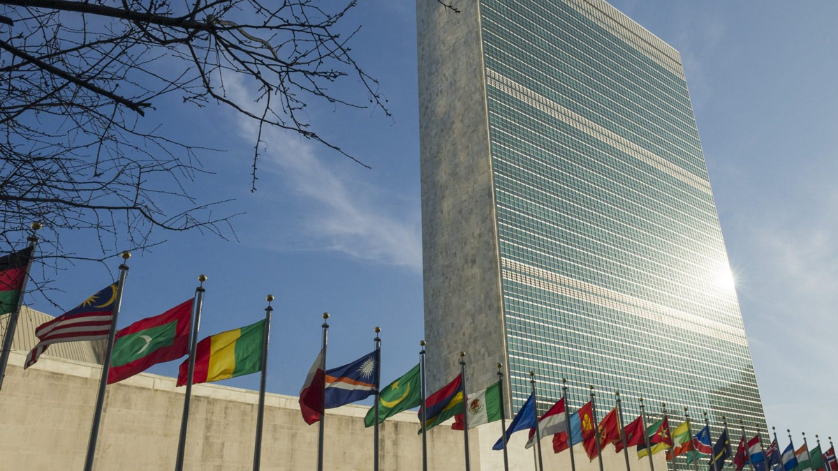 Всемирная организация ООН