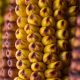 Генетики разобрались с феноменом покраснения кукурузы