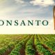 Американская компания Monsanto - один из лидеров на мировом рынке продаж генномодифицированных семян и гербицидов