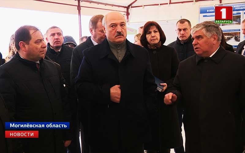 Лукашенко после посещения коровника на Могилевщине: это — Освенцим!