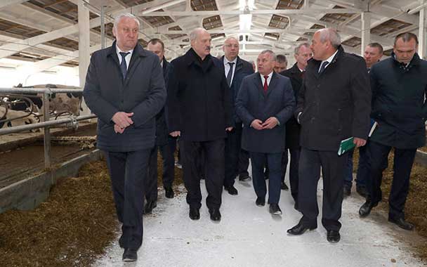 Лукашенко опять инспектирует коровники