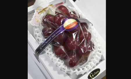 В Японии гроздь винограда продали за $11 000