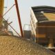 Пшеница, перевозка и хранение зерна