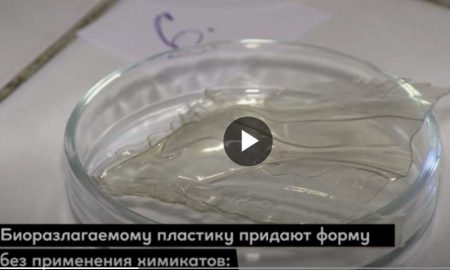 Ученые из Челябинска придумали съедобную посуду