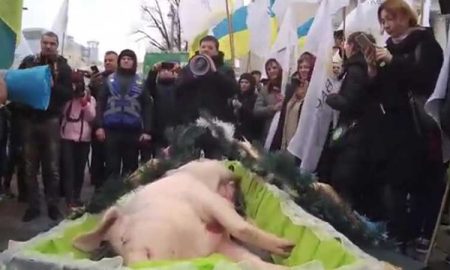 Аграрии Украины подложили к Раде свинью в гробу