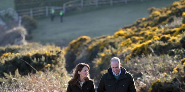 Принц Уильям и Кейт Миддлтон посетили экспериментальную скотоводческую ферму