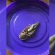 Покупательница обнаружила морского таракана в рыбных консервах