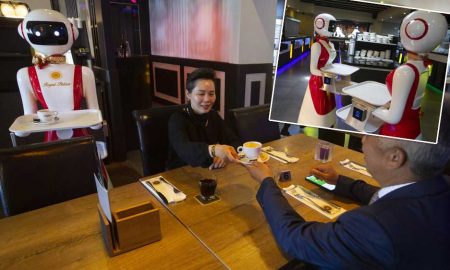 Covid-19: В Нидерландах в кафе официантов заменили роботы