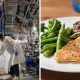 В Израиле открыли фабрику по выращиванию искусственного мяса