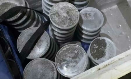 Сотни контейнеров с черной икрой нашли в тайнике под Хабаровском