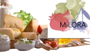 МИЛОРА - интернет-магазин пищевых ингредиентов