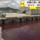 Вода в порту на Окинаве стала красной из-за утечки с крупной пивоварни