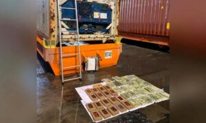 Сотрудники ФТС обнаружили около 50 кг кокаина в контейнере с бананами