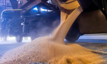 пшеница, зерно, элеватор, вагоны для транспортировки зерна