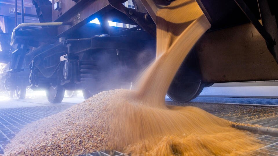 пшеница, зерно, элеватор, вагоны для транспортировки зерна