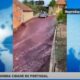 Улицы португальского города затопило вином