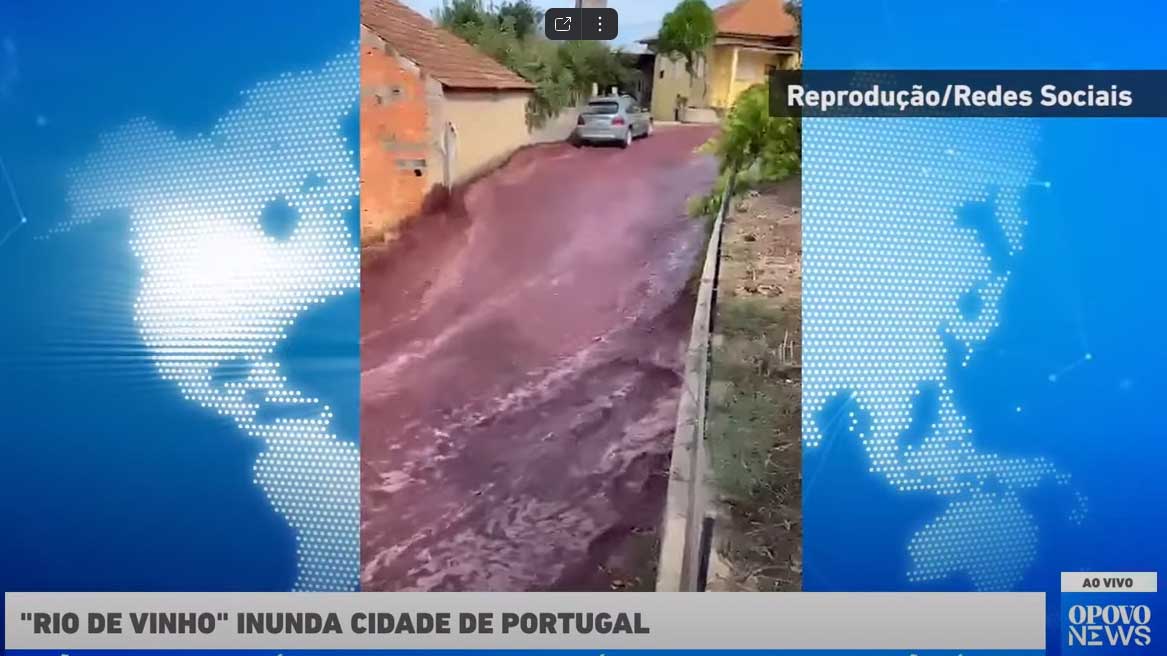 Улицы португальского города затопило вином