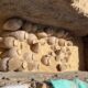 В Египте археологи нашли кувшины с вином, которым около 5 тысяч лет