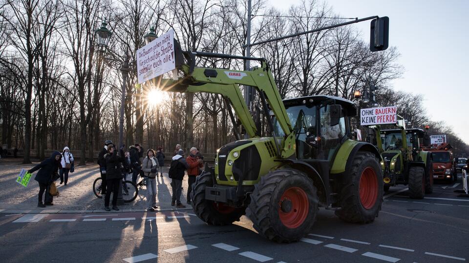 Фермеры завалили навозом здание администрации на юге Франции