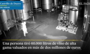 В Испании неизвестный пробрался в винодельню и вылил 60 литров вина